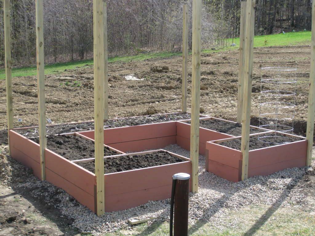 Strawberry Net Vegetable Garden