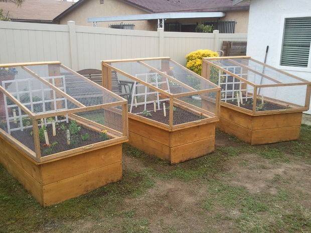 Kidsize Critter Proof Veggie Garden