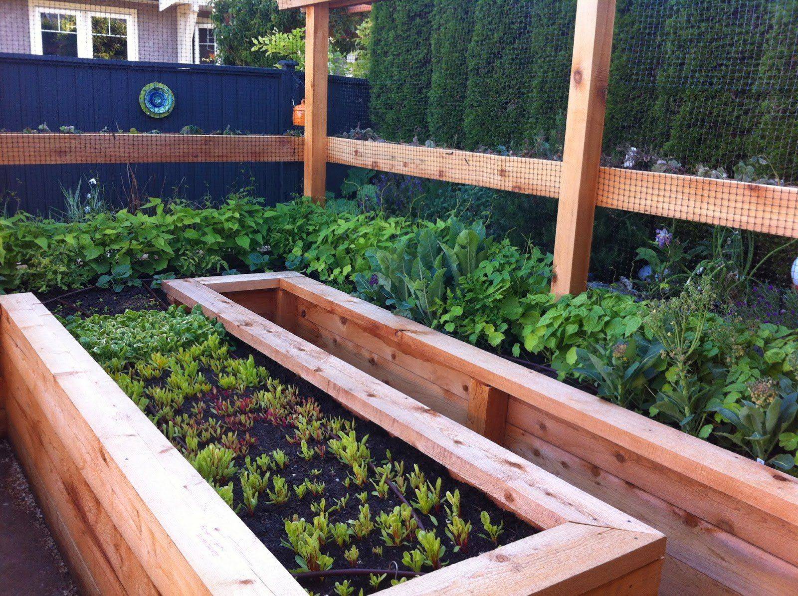 Garden Beds Doityourselfcom Community