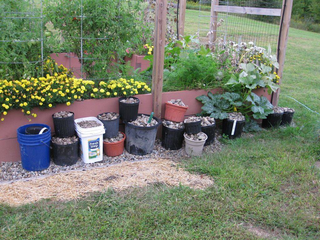 Garden Beds Doityourselfcom Community