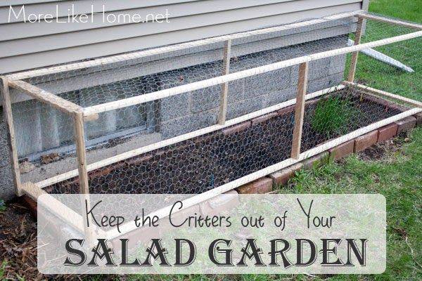 Garden Beds Doityourselfcom Community