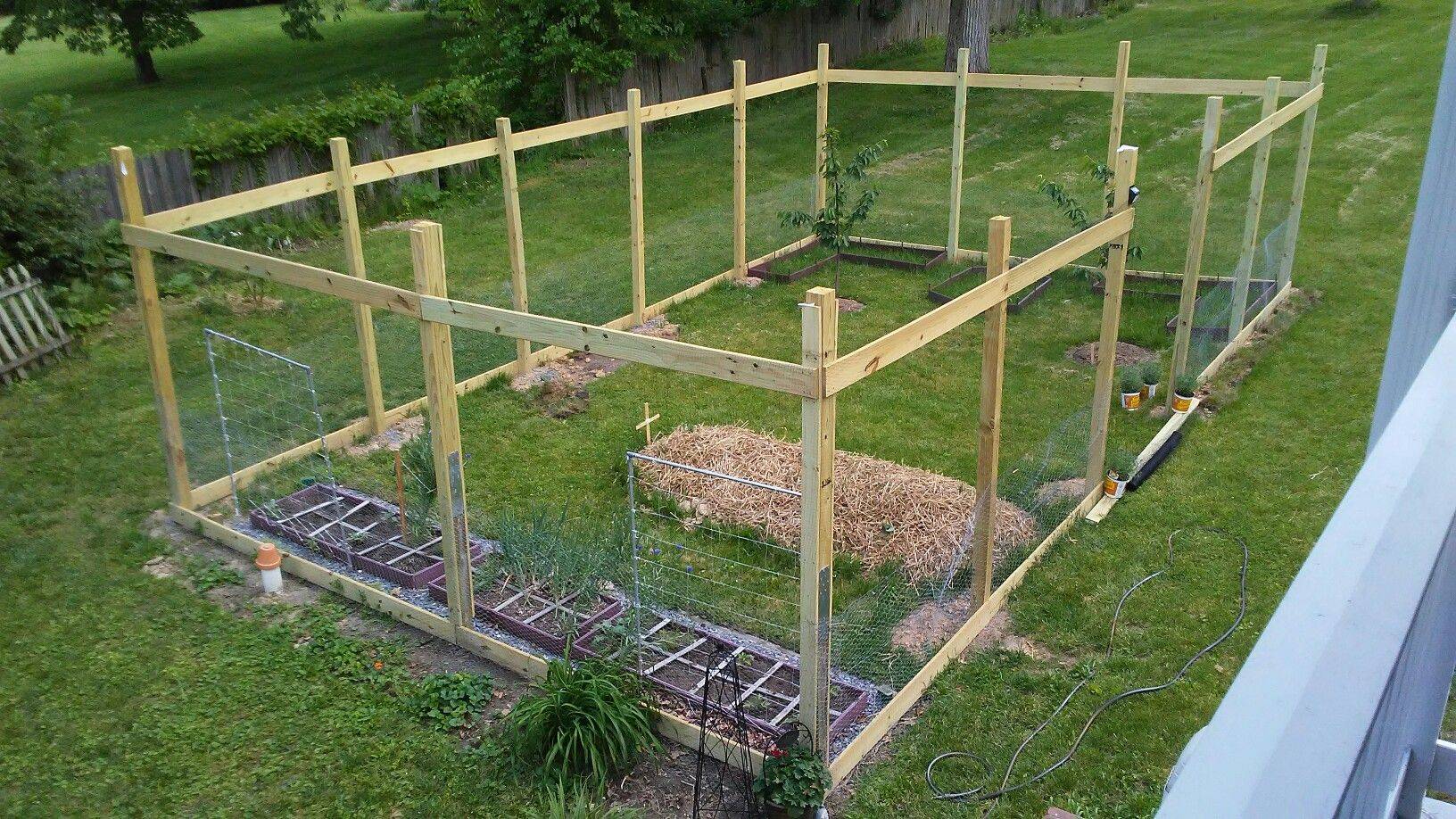 Squirrel Proof Tomato Cages