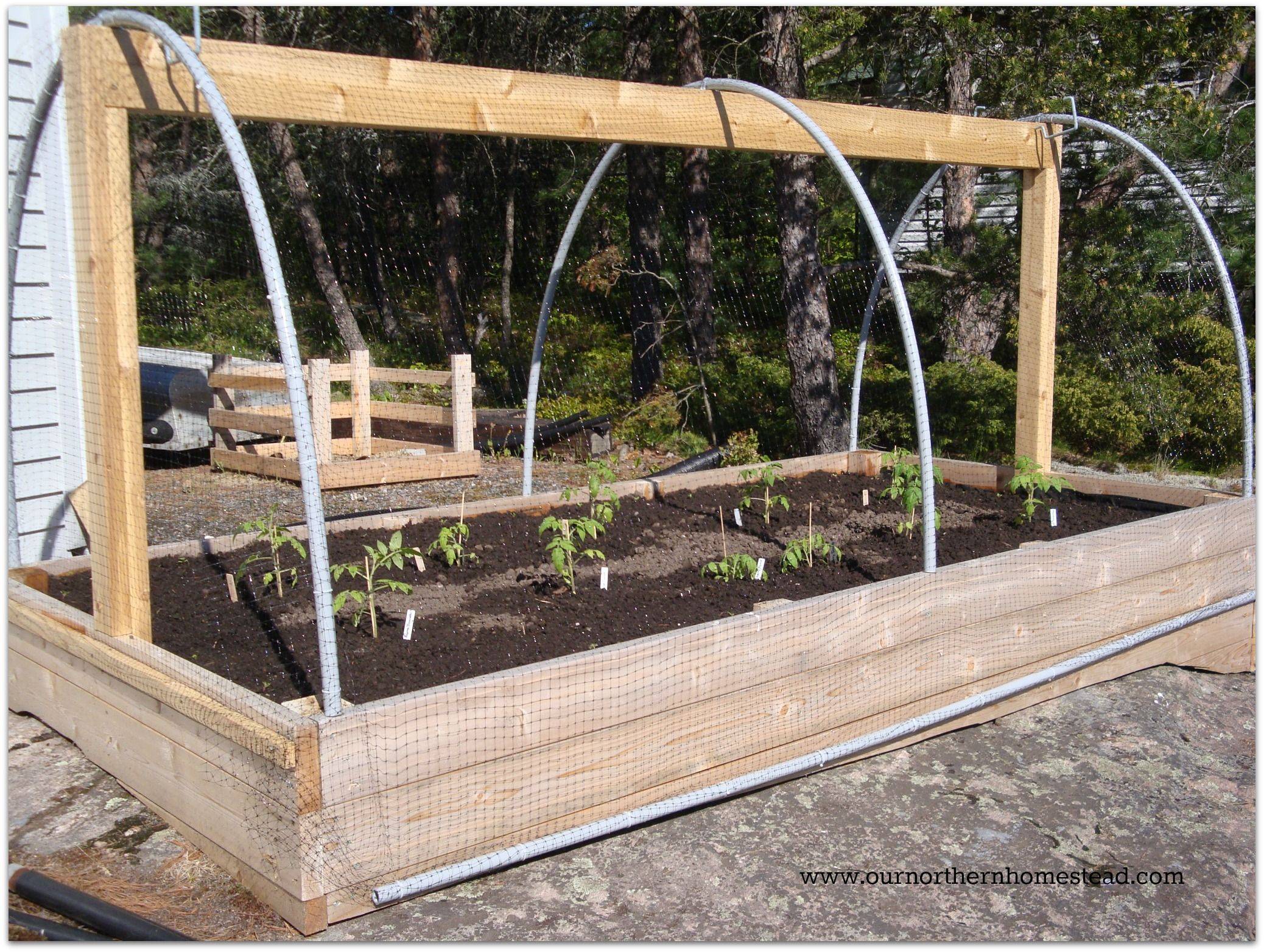Deer Proof Cedar Complete Raised Garden Bed Kit X Eartheasycom