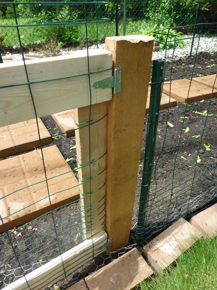 24 RabbitProof Garden Gate Ideas Worth to Check SharonSable