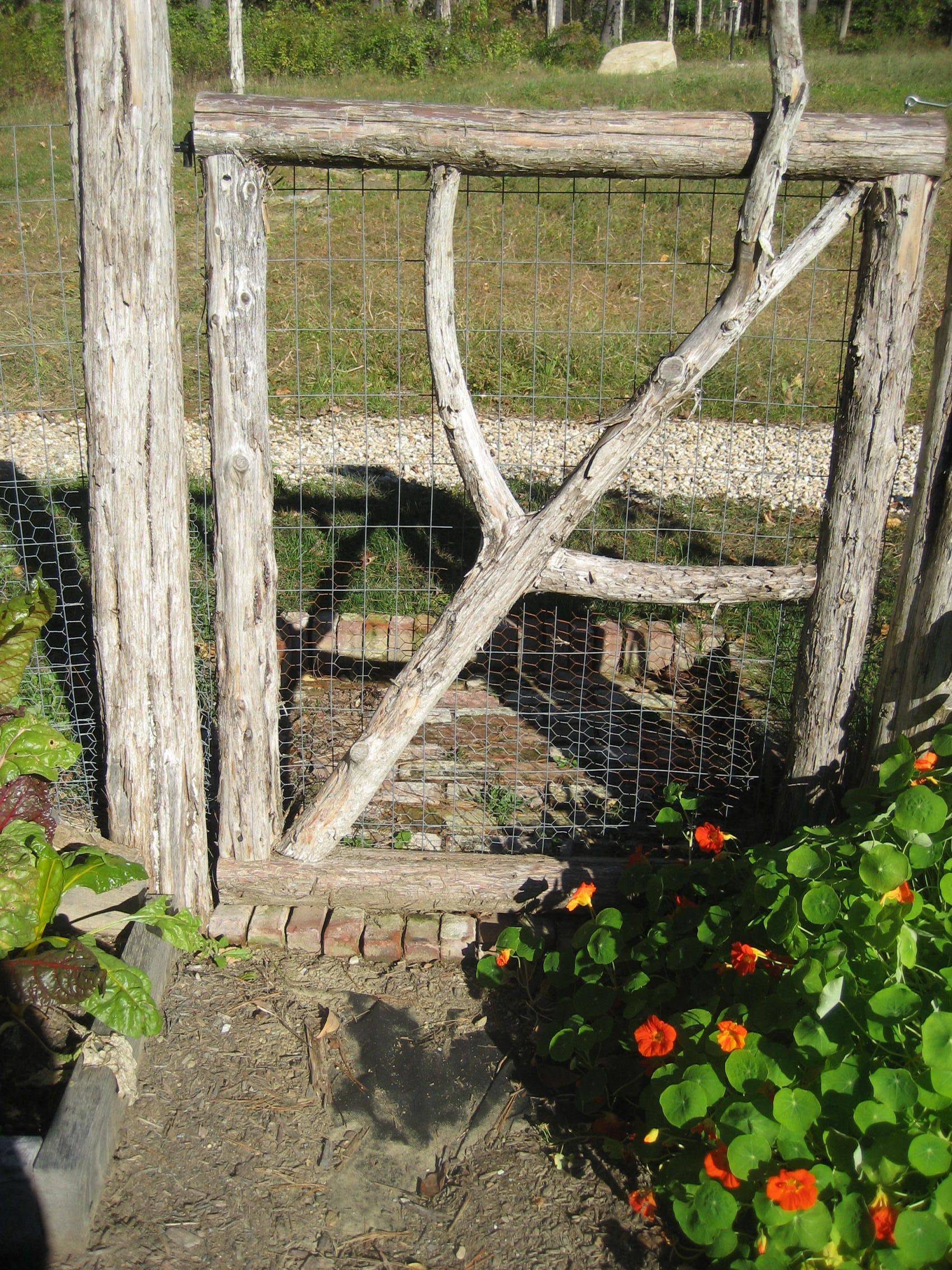 24 RabbitProof Garden Gate Ideas Worth to Check SharonSable