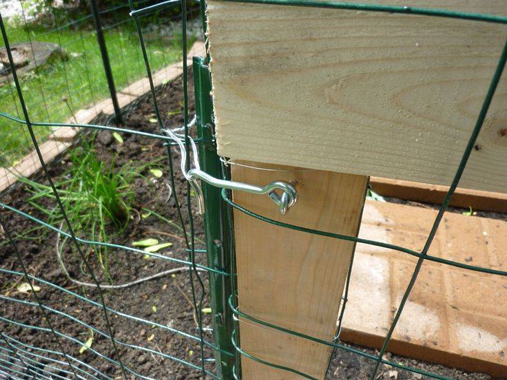 24 RabbitProof Garden Gate Ideas Worth to Check SharonSable