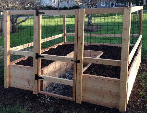 An Animal Proof Garden Fence