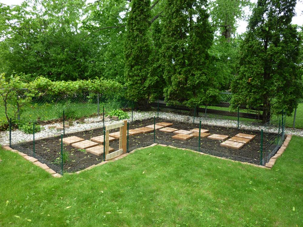 Raised Bed Gardening Rabbit Proof