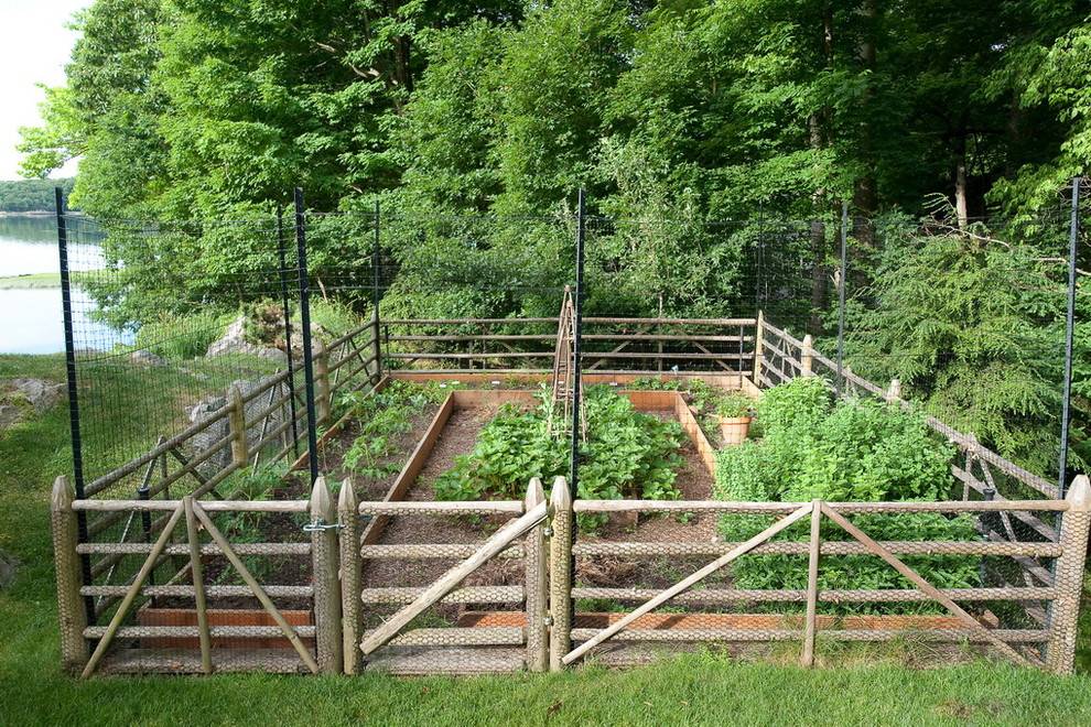 Raised Bed Gardening Rabbit Proof