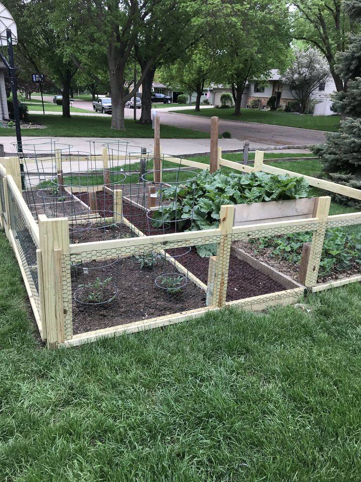 Rabbit Proof Garden Vegetables Garden Ftempo