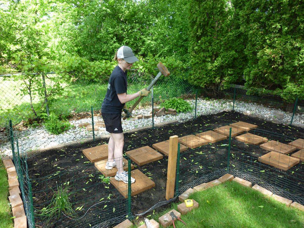 Rabbit Proof Vegetable Garden Fence Home And Garden Designs
