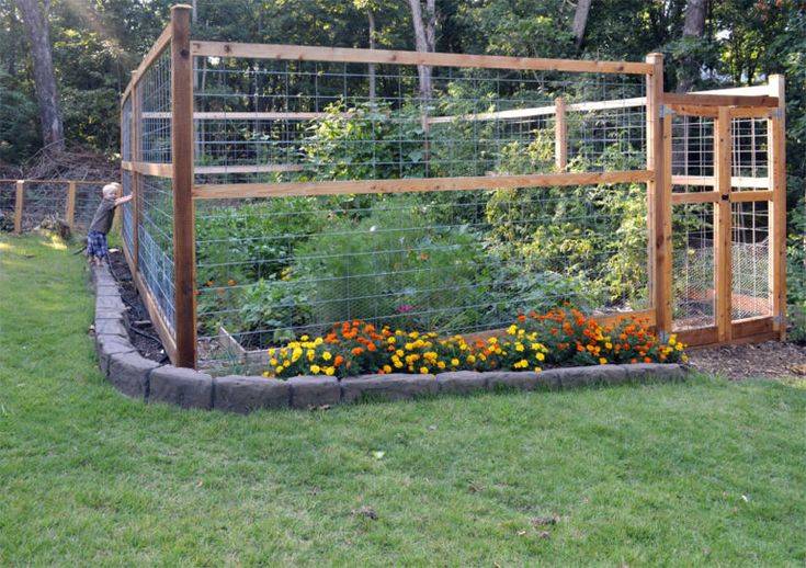 An Animal Proof Garden Fence