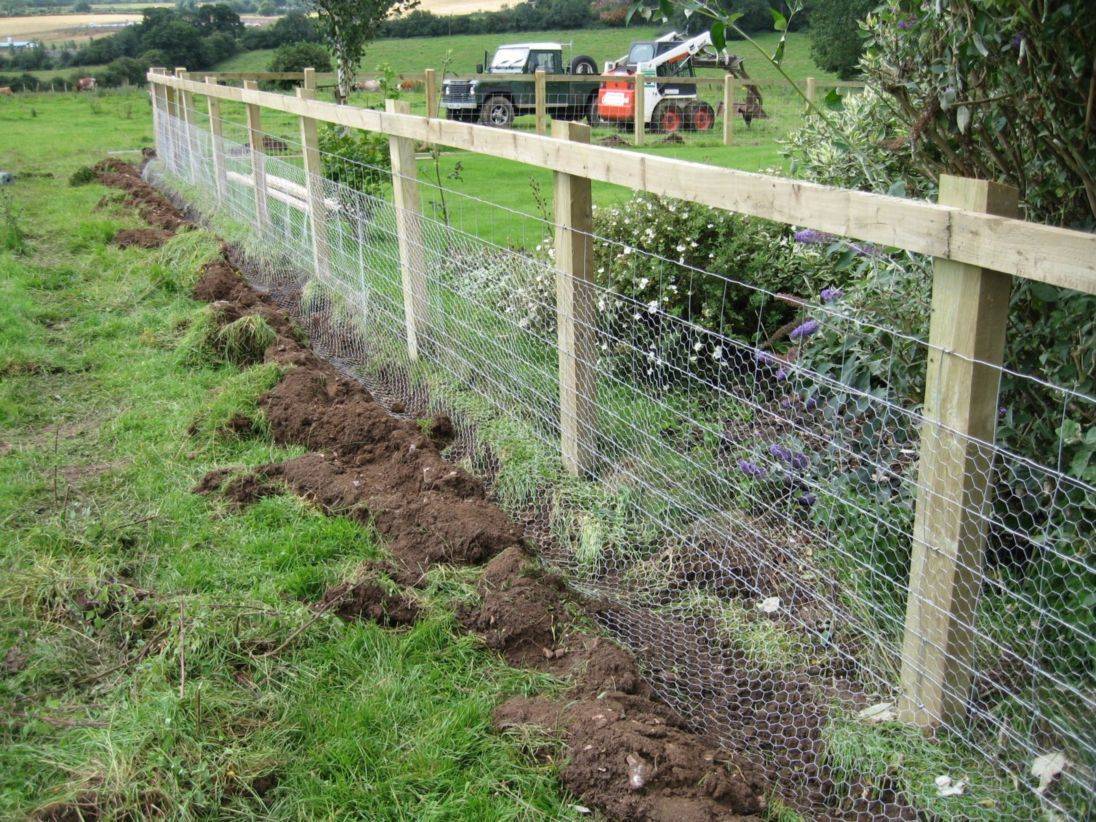 My Rabbitproof Garden Gate