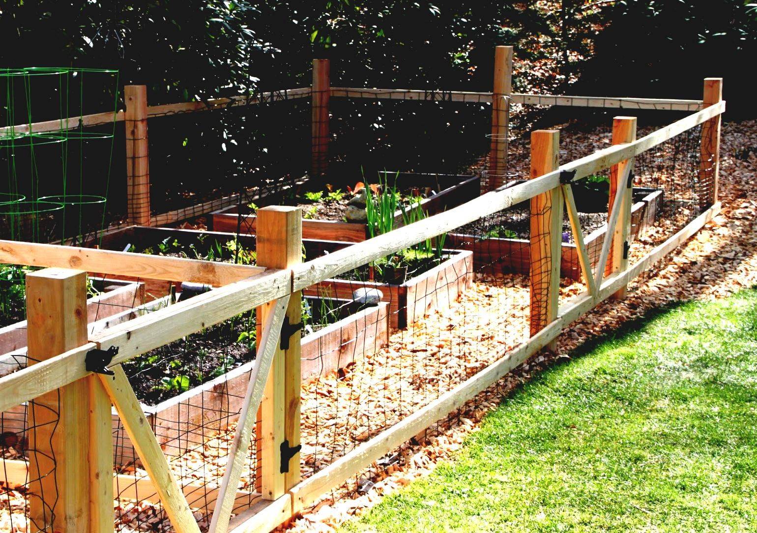 Backyard Vegetable Gardens