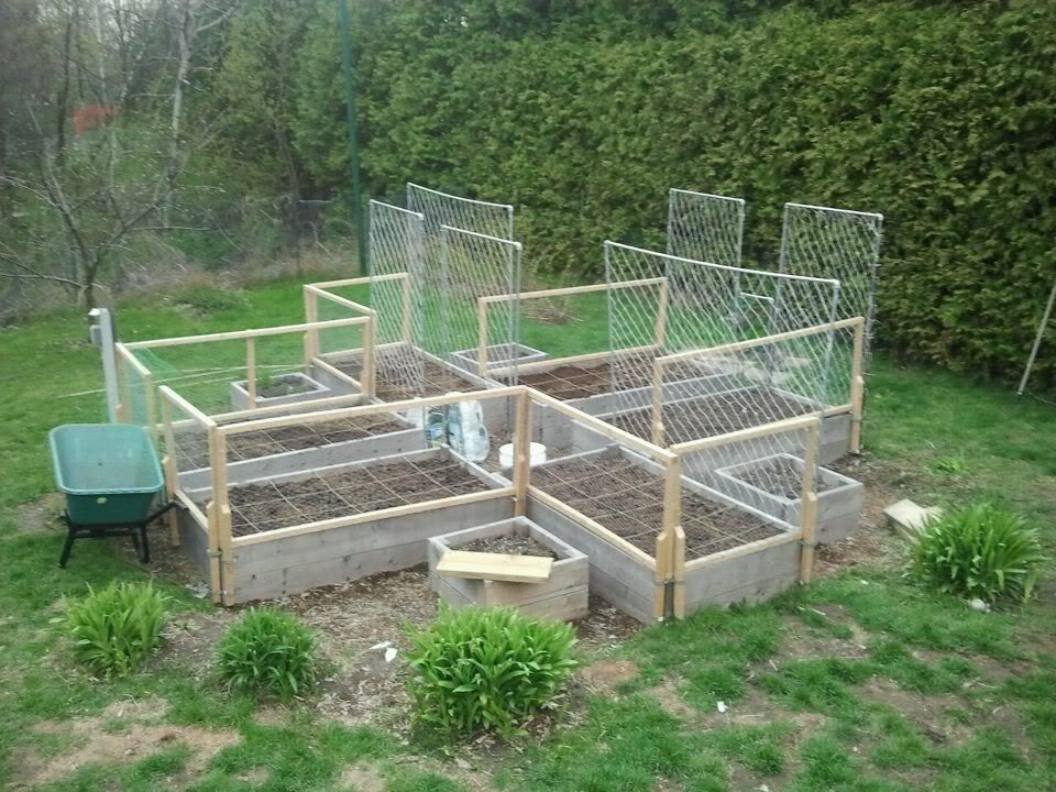 Chicken Wire Raised Garden Bed Cover Plant Arts