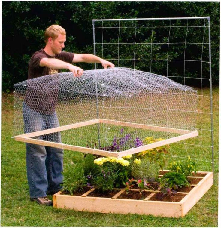 Garden Fence Trellis