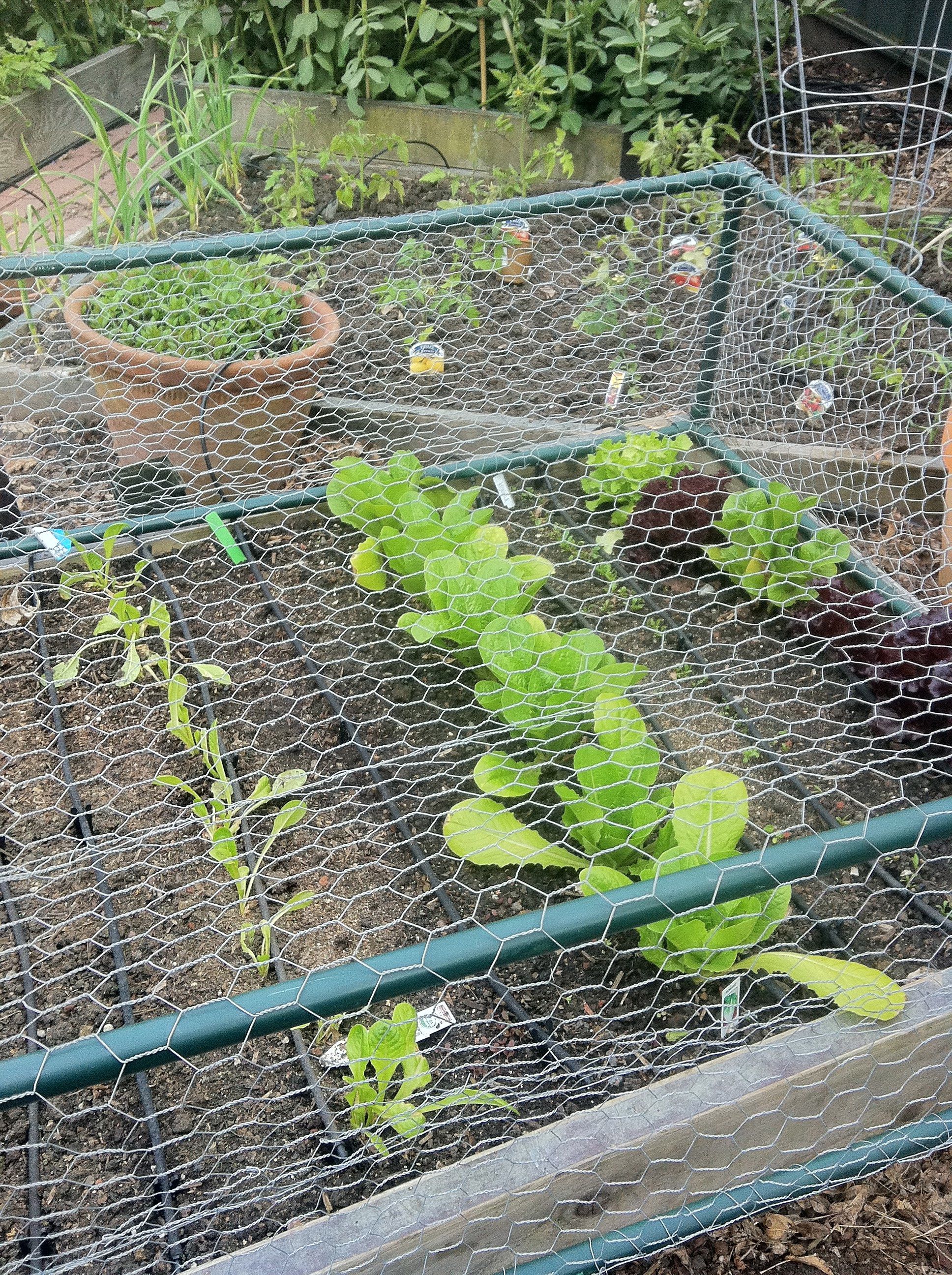 A Wooden Raised Bed Planter Box Dear Handmade Life