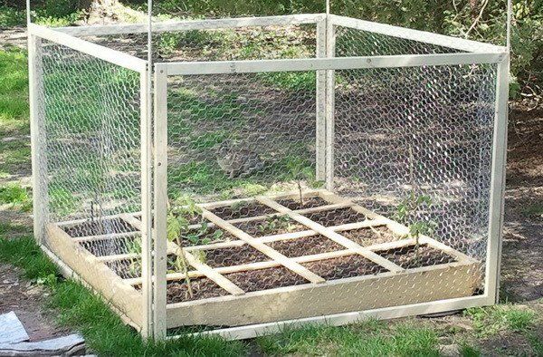 Raised Beds