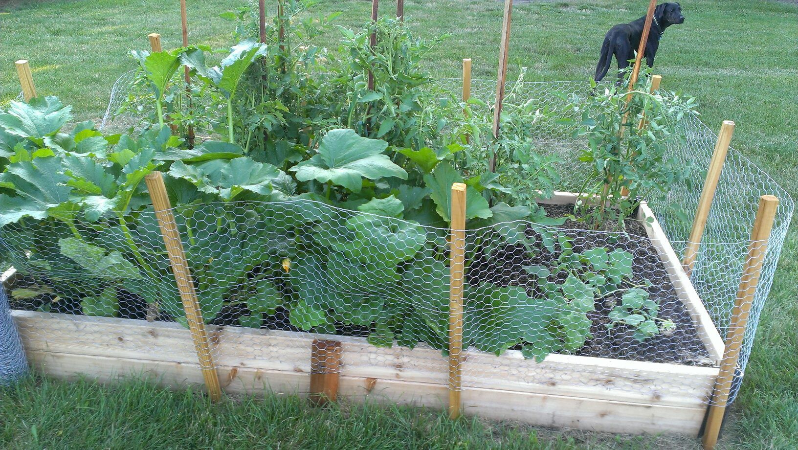 Your Raised Bed