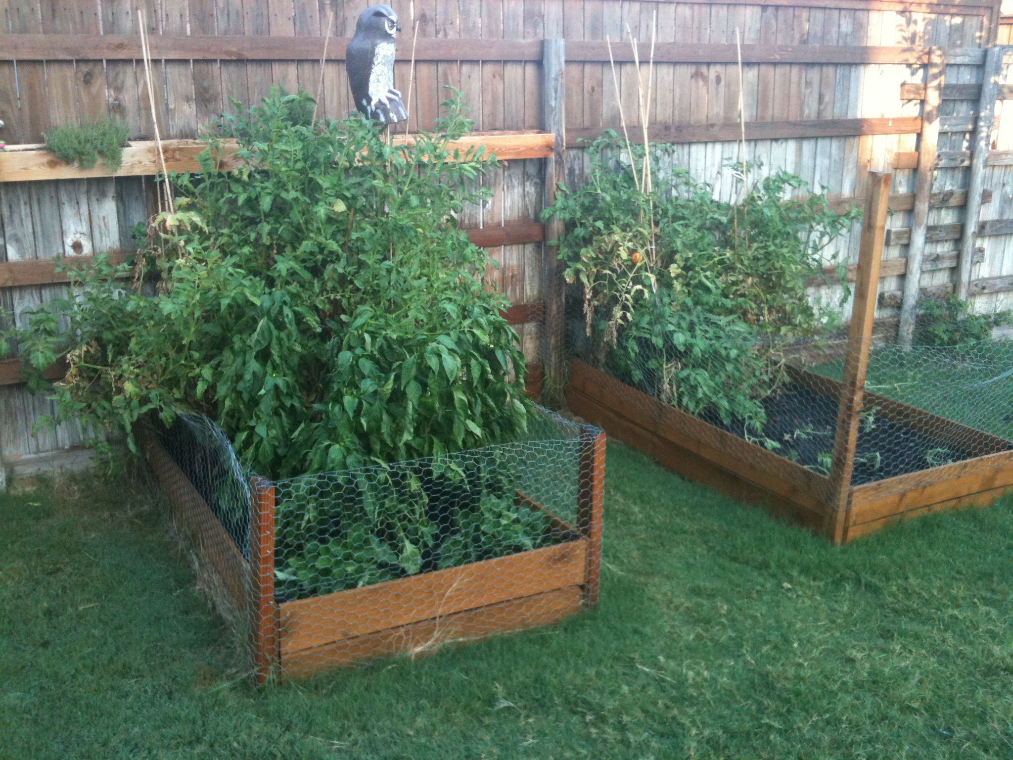 A Raised Garden