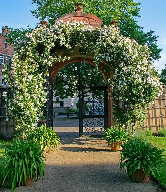 20 English Garden Arbors and Arches Ideas You Should Check SharonSable