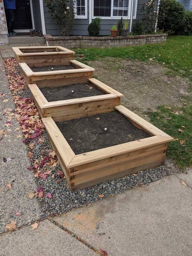 Unique Planter Design Ideas