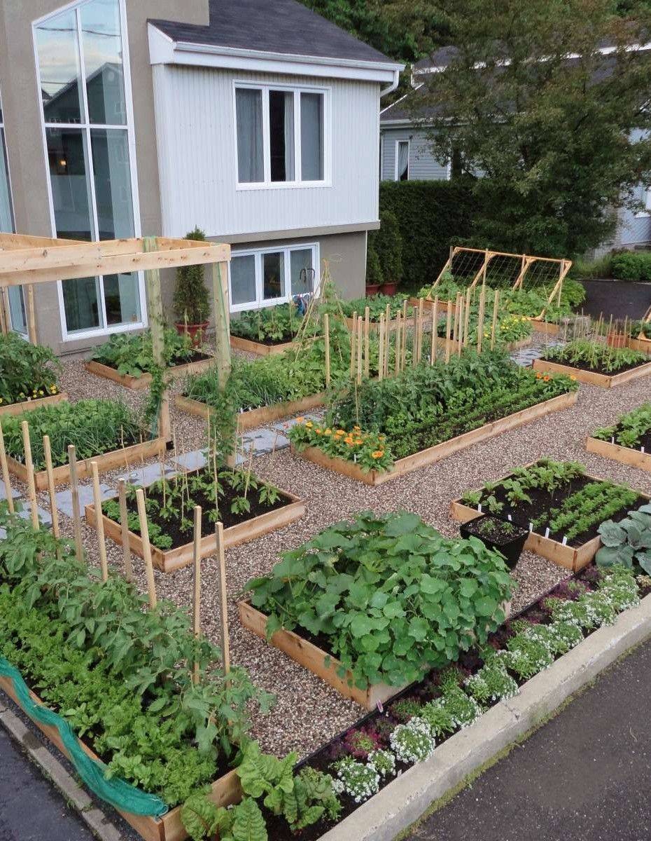 A Front Yard Vegetable Garden
