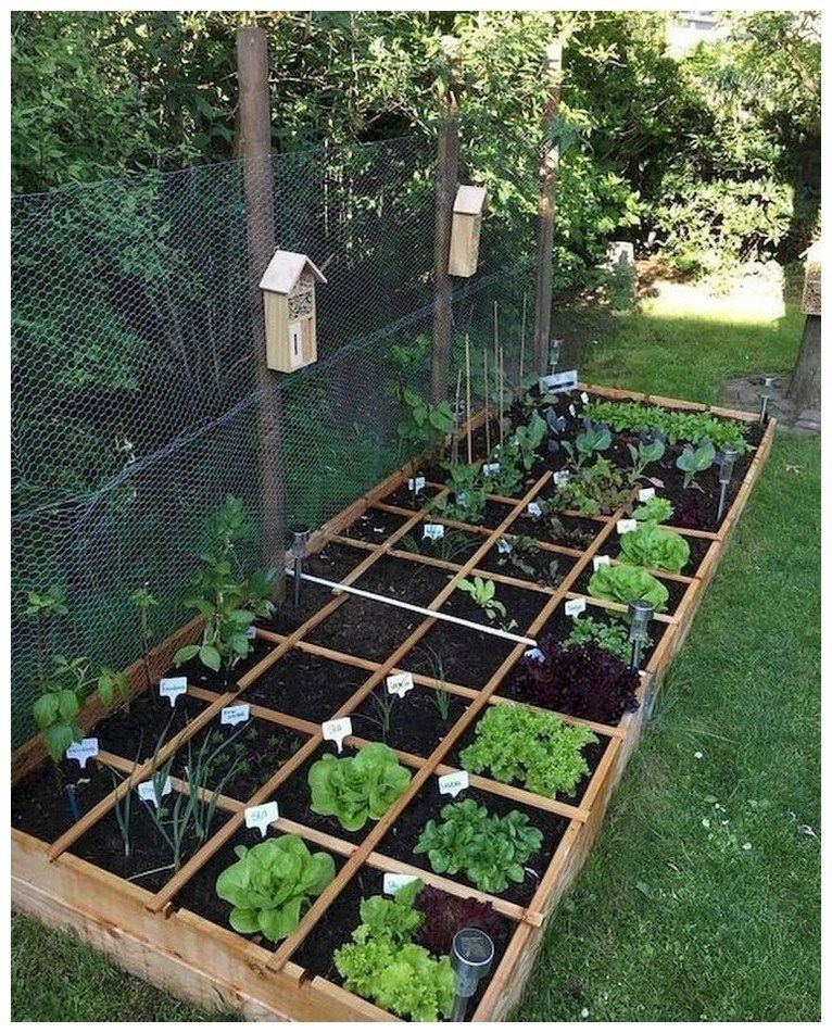 Front Yard Vegetable Garden Libertarian