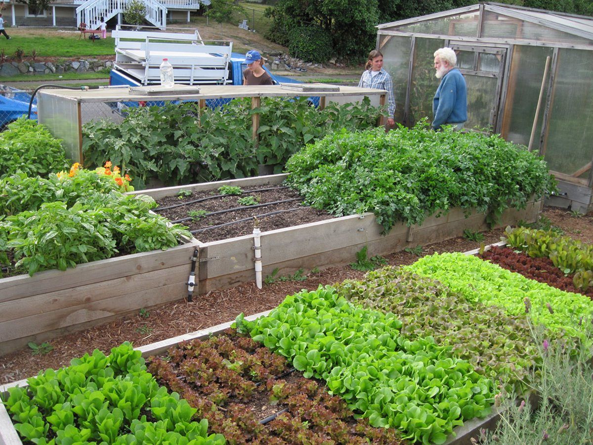 Raised Garden Beds