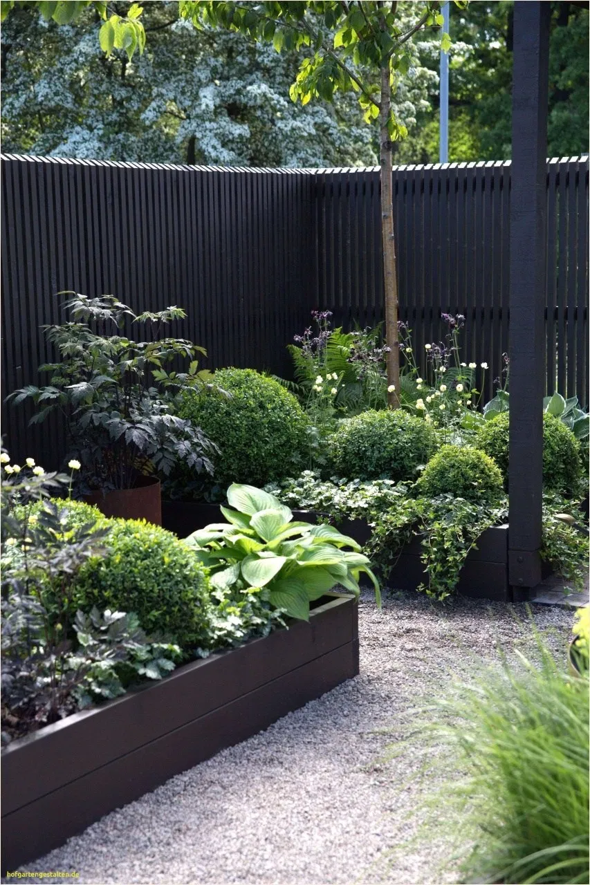 Front Yard Vegetable Garden Thrives