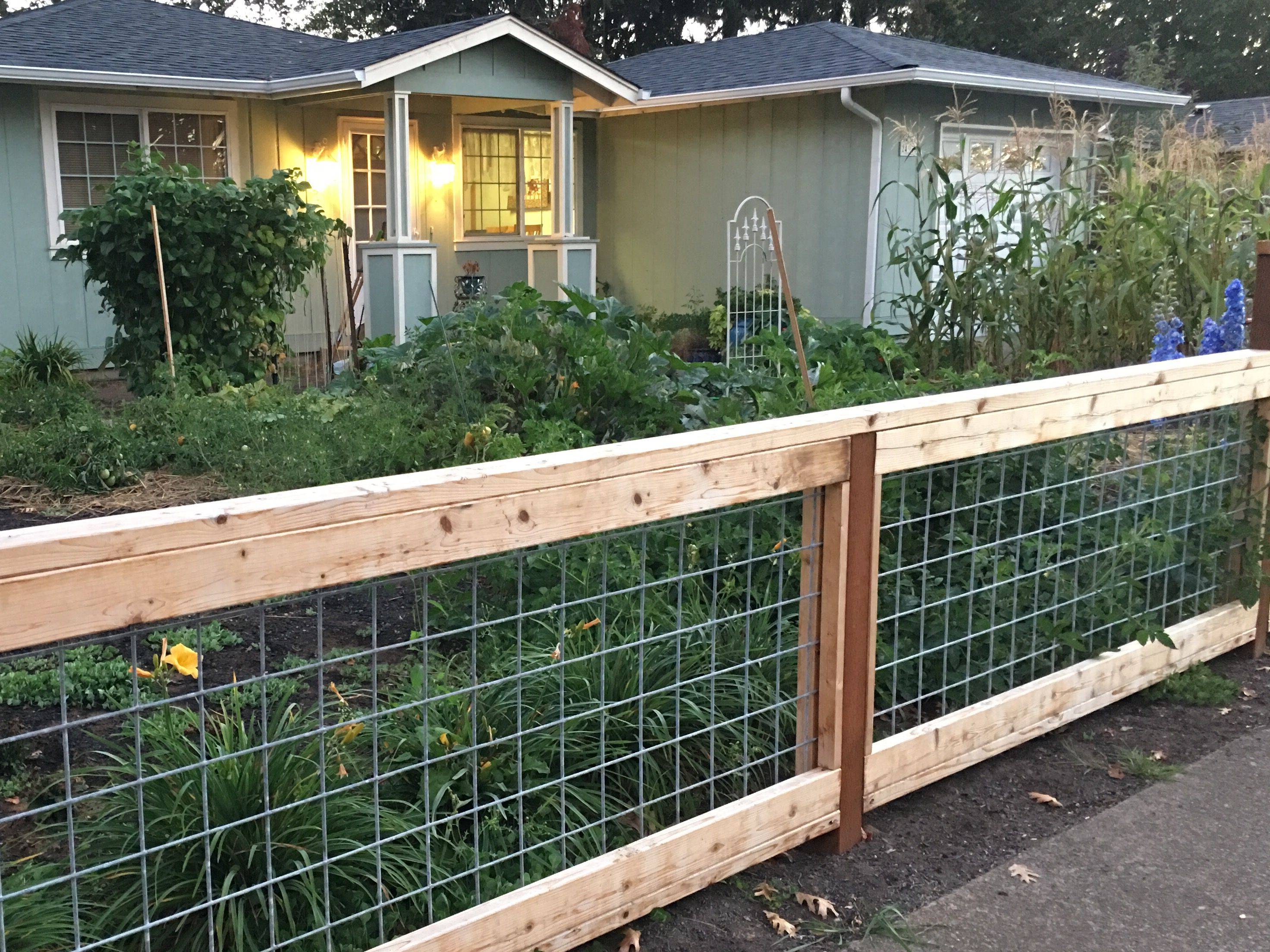 Backyard Vegetable Gardens