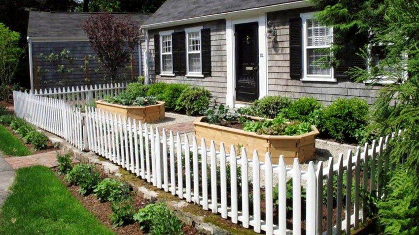 Vegetable Garden Ideas