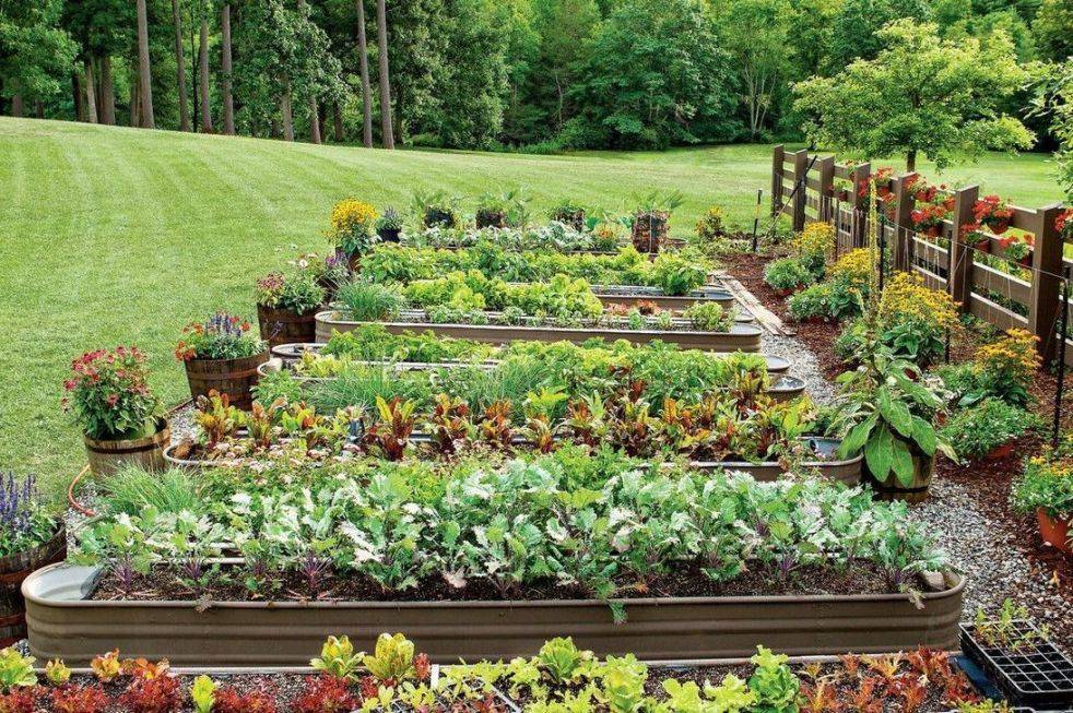 Your Home Vegetable Garden Beds