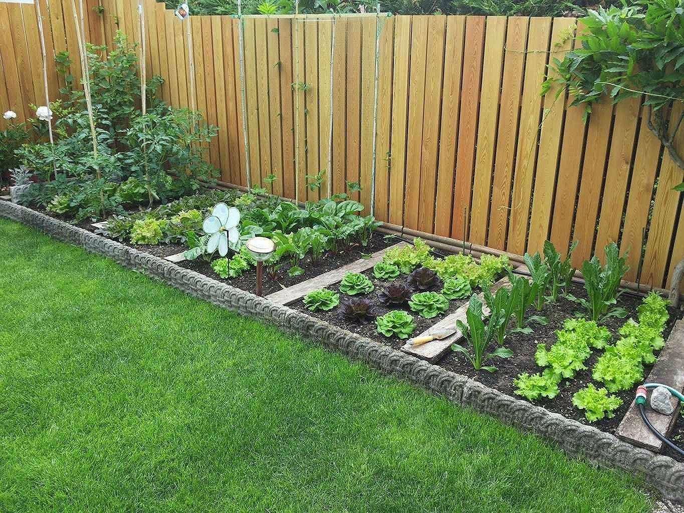 Backyard Vegetable Gardens