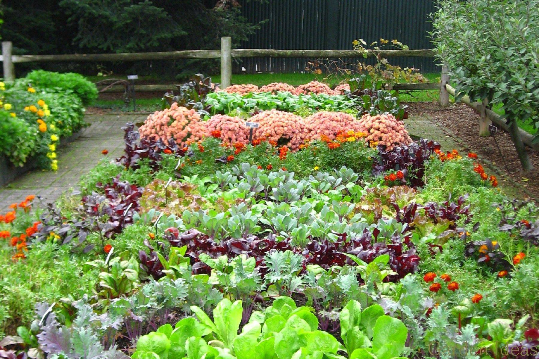 Awesome Small Vegetable Garden Ideas