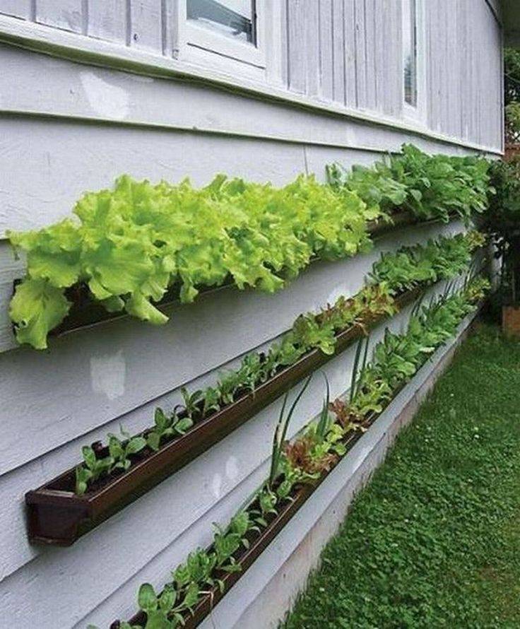 Awesome Diy Raised And Enclosed Garden Bed Ideas