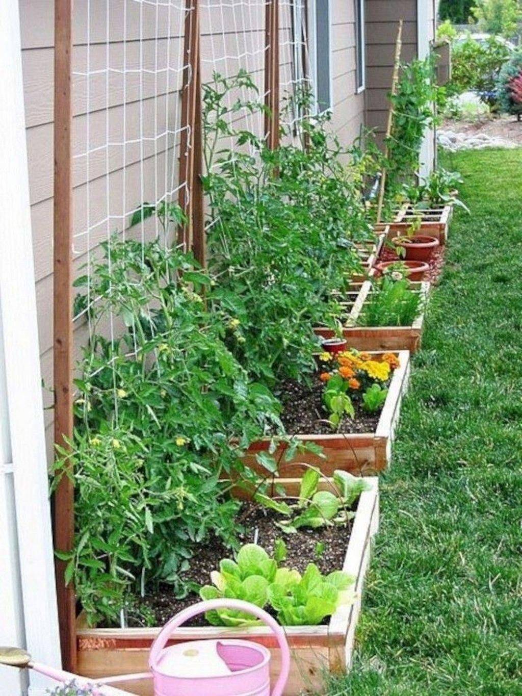 Awesome Backyard Vegetable Garden Design Ideas Structhomecom