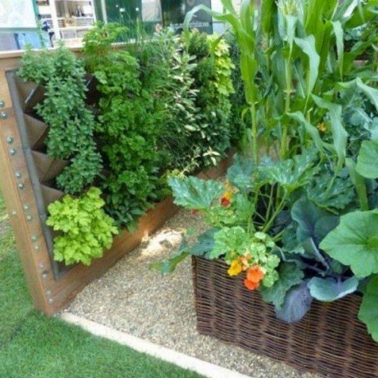 Unique Small Garden Ideas Vegetable Raised Beds Front Yards Cozy