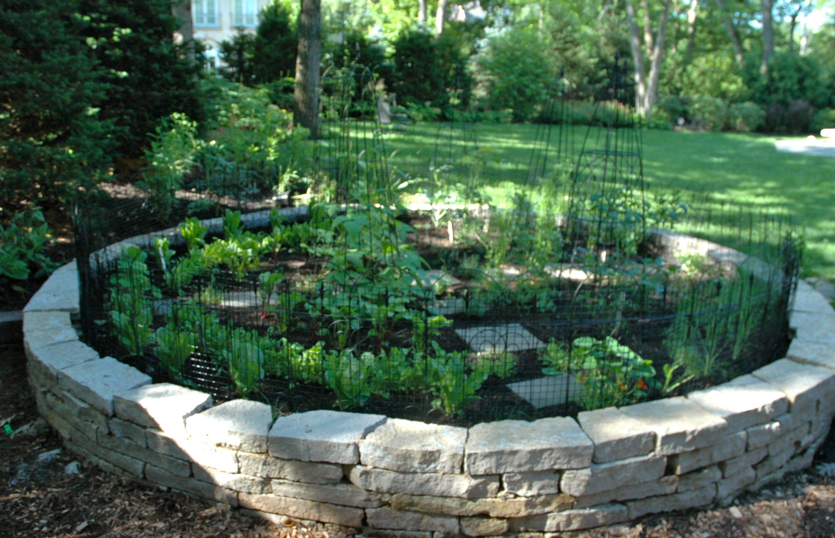 A Garden