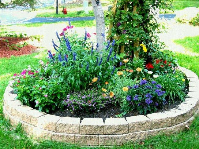 Vegetable Beds