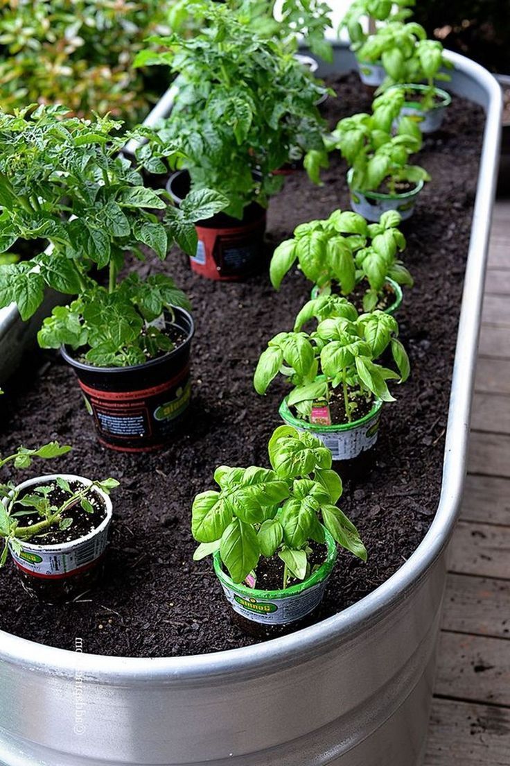 Pretty Herb Garden Ideas