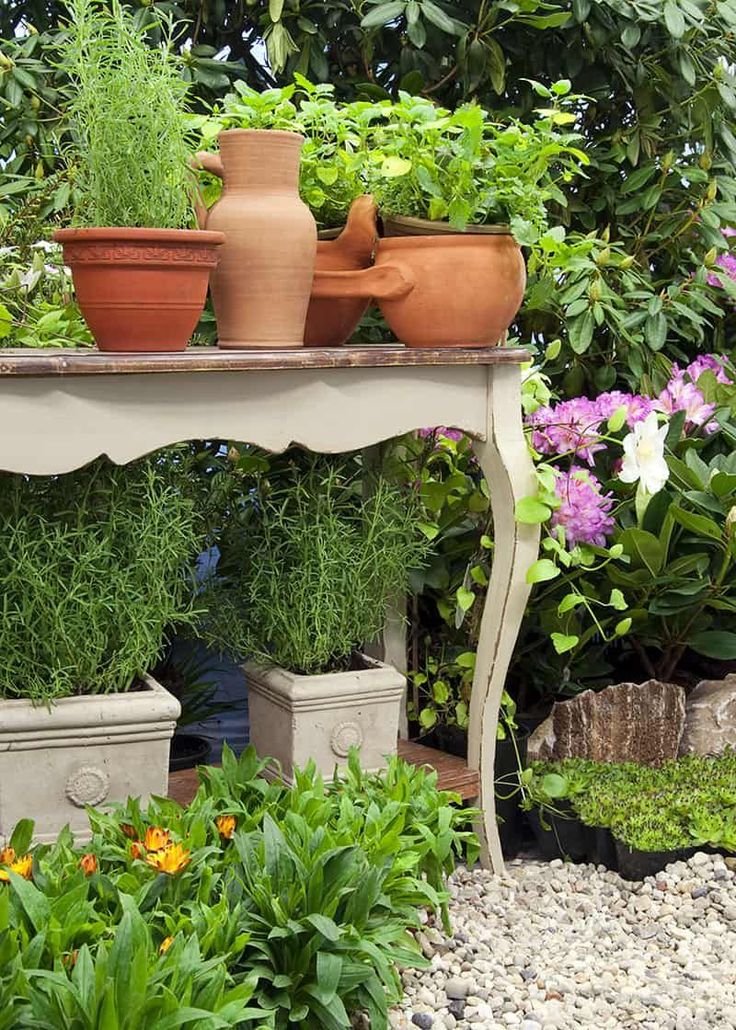 Pretty Herb Garden Ideas Treescom