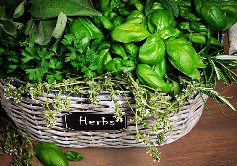 Indoor Herb Garden Ideas