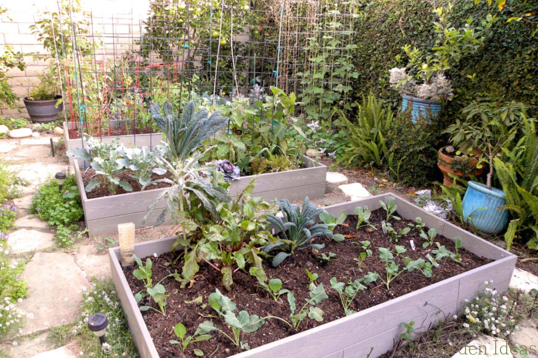 An Edible Front Yard Garden Front Yard Garden