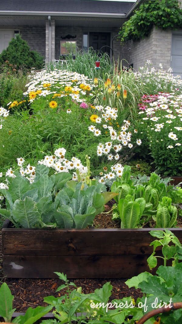 Zone Shade Garden Design Zone Perennials Lanedscaping Ideas