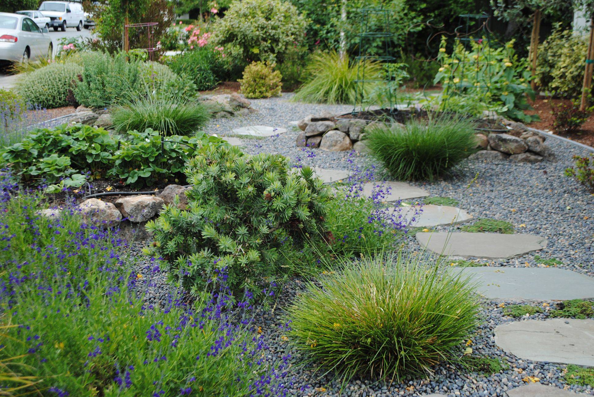 Beautiful Low Maintenance Front Yard Garden And Landscaping Ideas