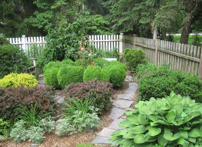 Front Yard Sunset Sunset Amazing