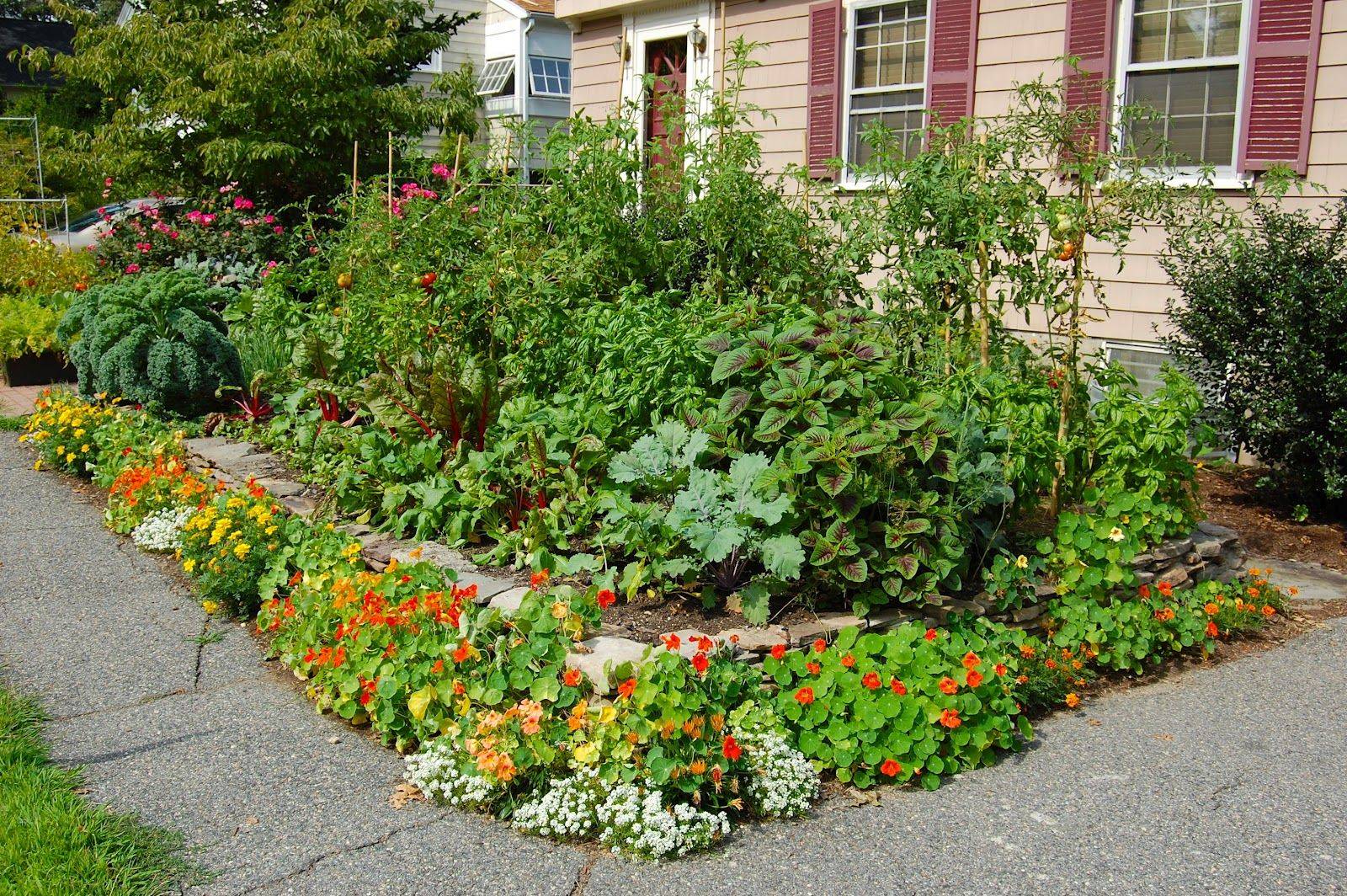 Front Yard Edible Garden Design