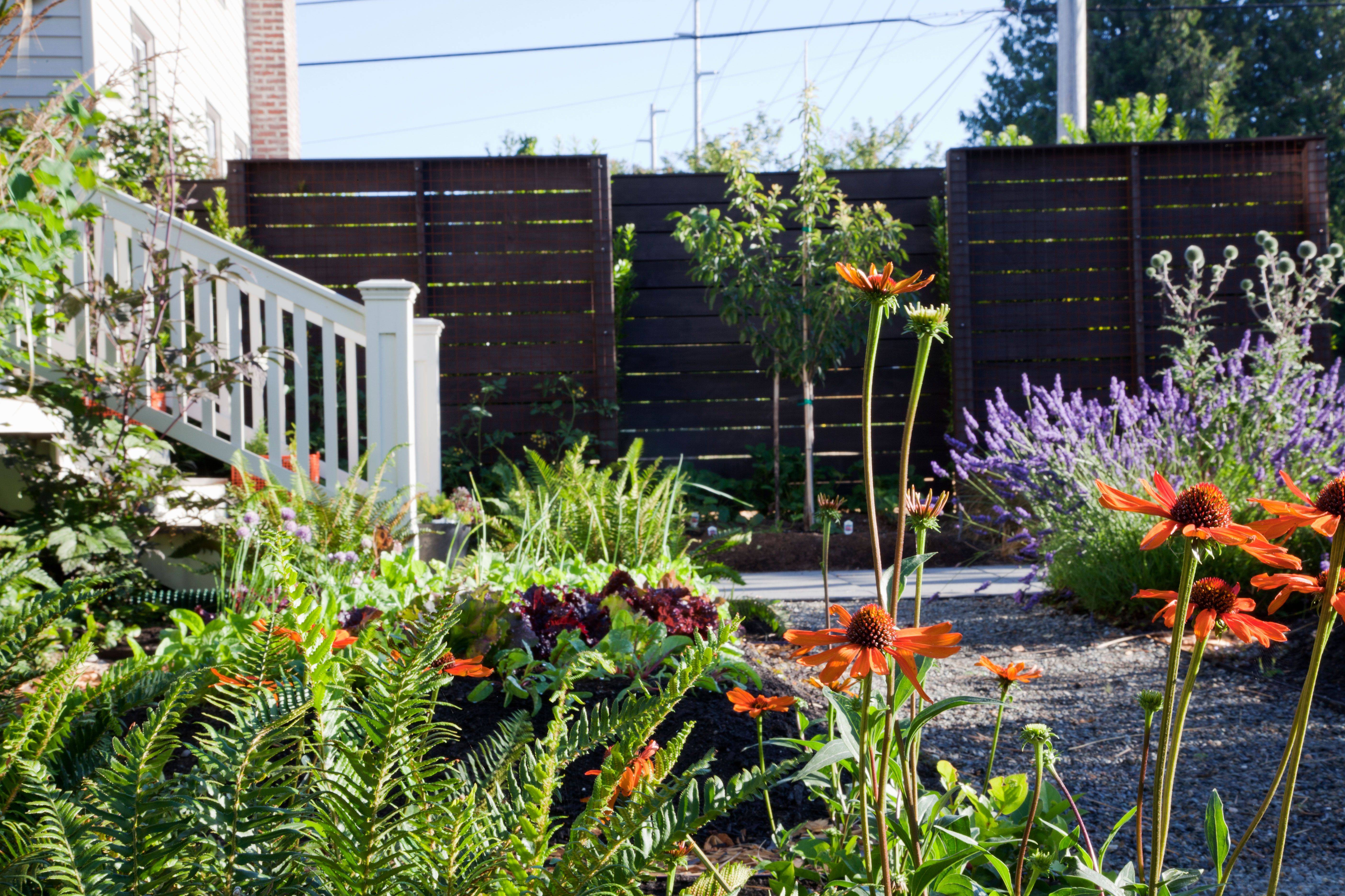 Front Yard Vegetable Gardens