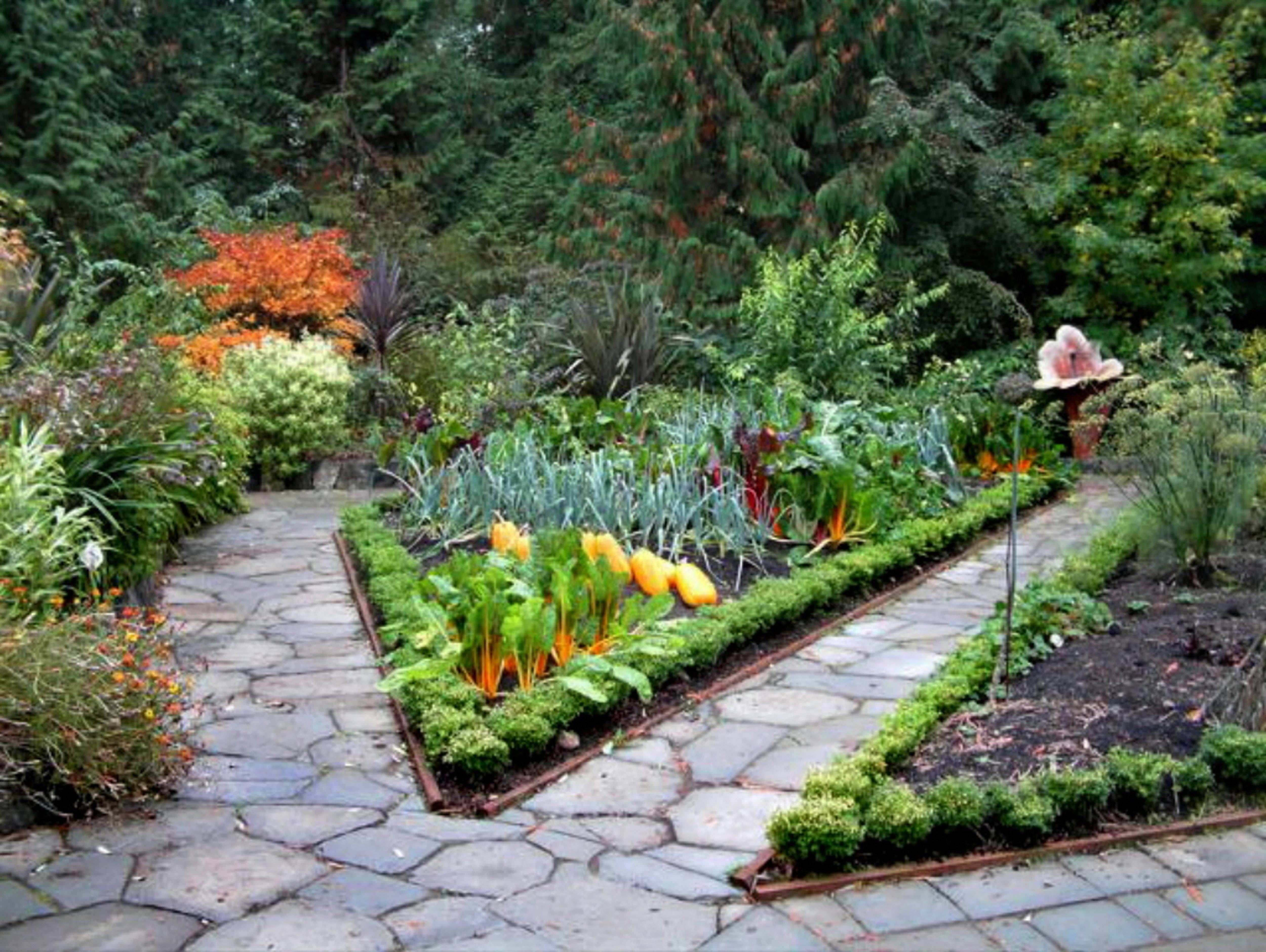 An Edible Landscape Front Yard
